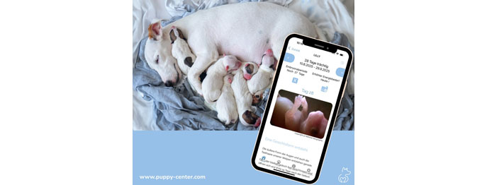 https://www.petinare.de/media/fa/6c/e2/1759249403/Puppy Center NEU_Kachel.jpg